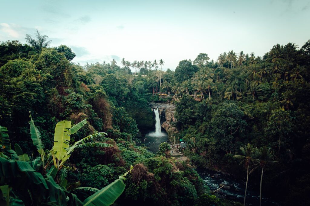 El Yunque Rainforest Tour